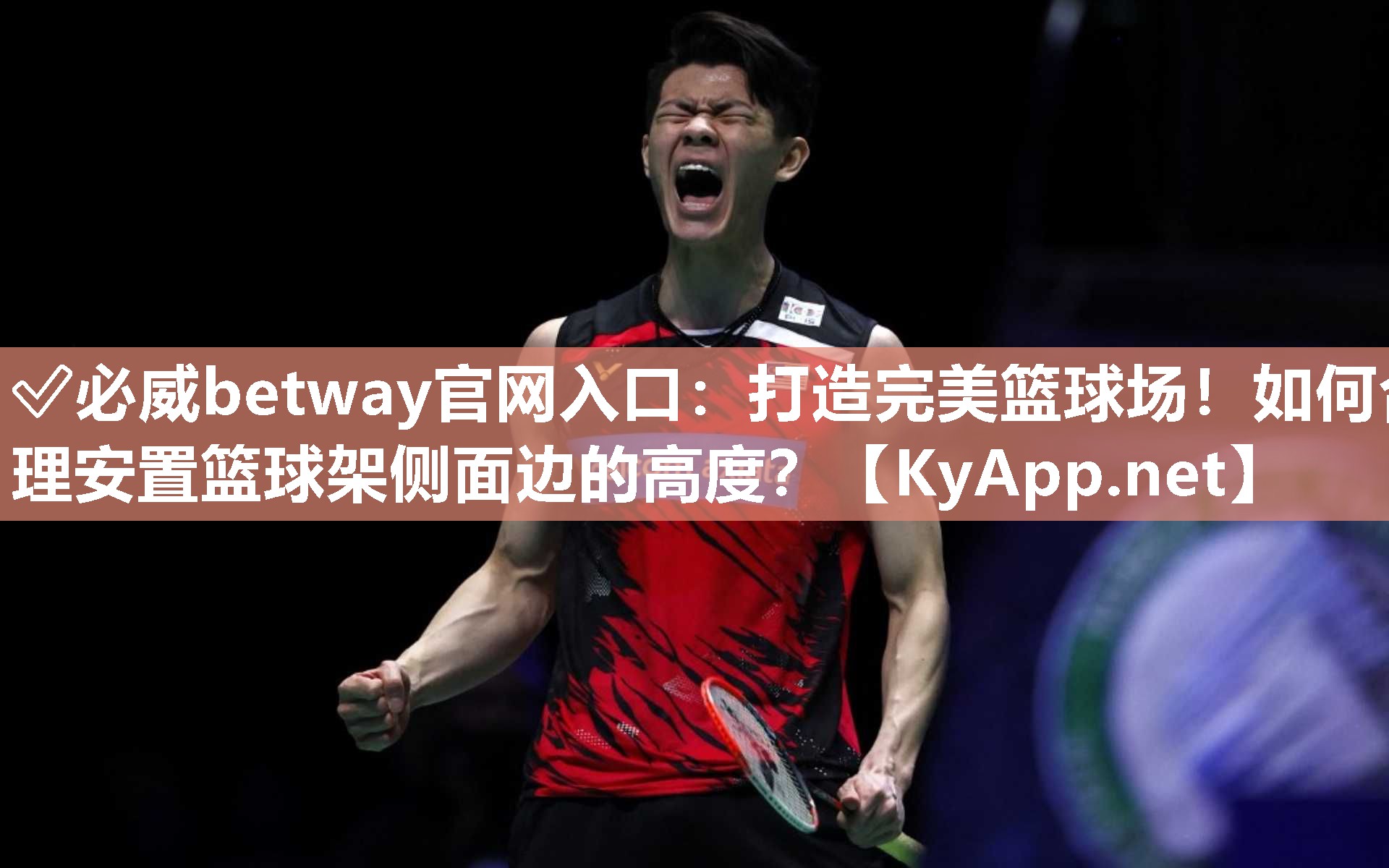 ✅必威betway官网入口：打造完美篮球场！如何合理安置篮球架侧面边的高度？