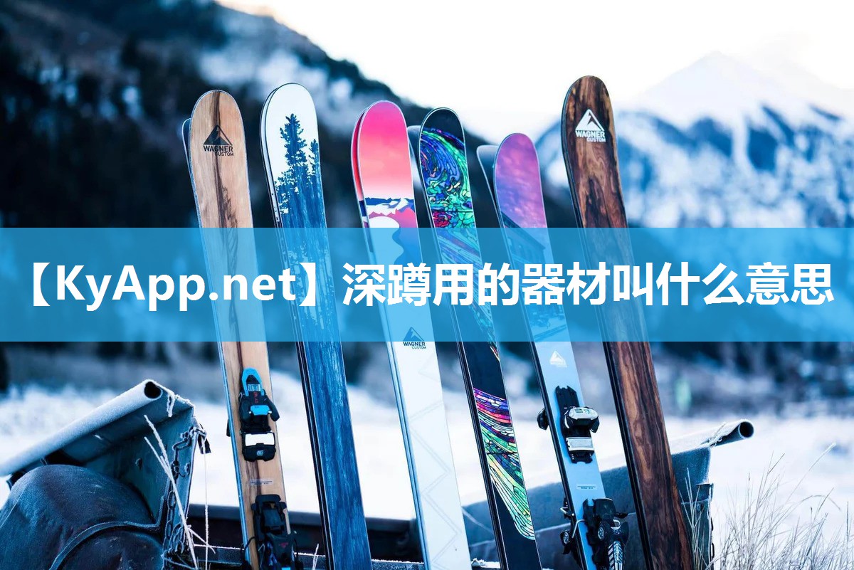 深蹲用的器材叫什么意思