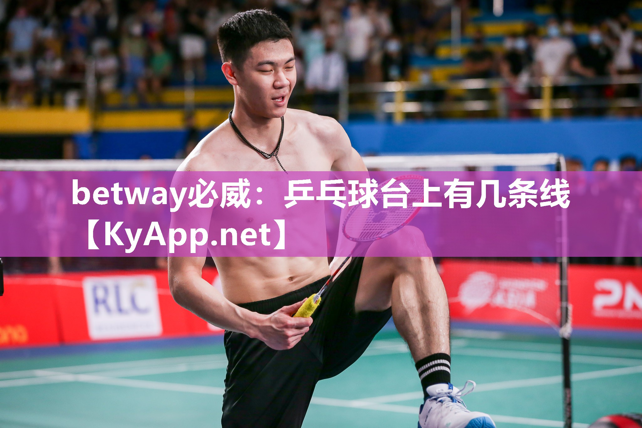 betway必威：乒乓球台上有几条线