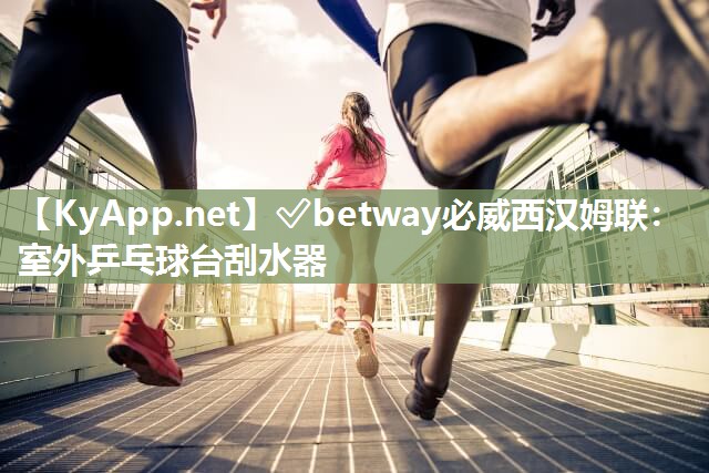 ✅betway必威西汉姆联：室外乒乓球台刮水器