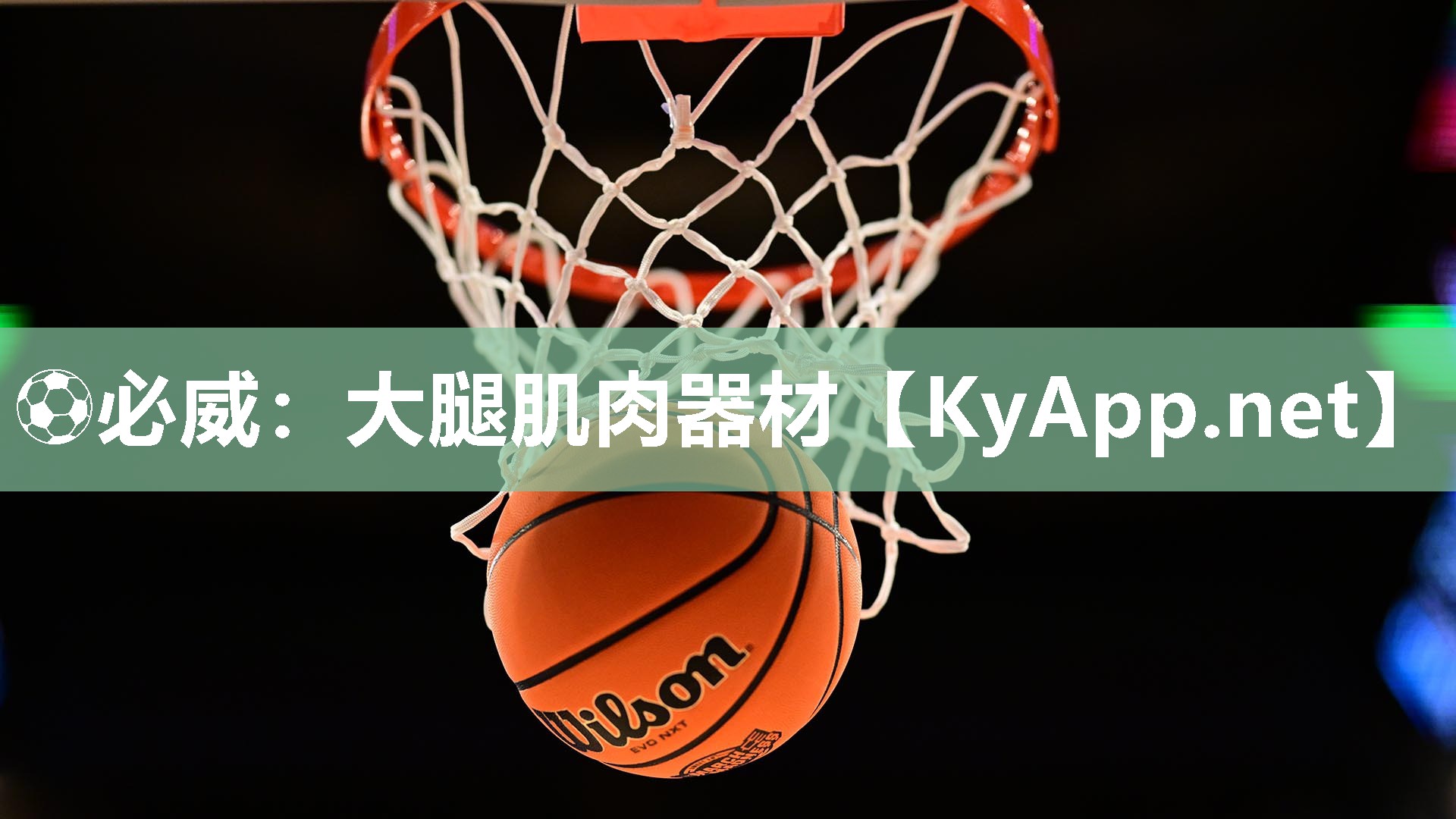 大腿肌肉器材 大腿肌肉器材