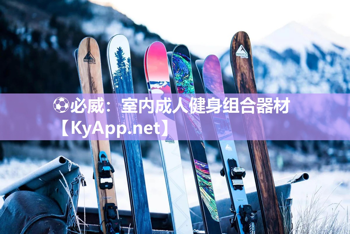室内成人健身组合器材