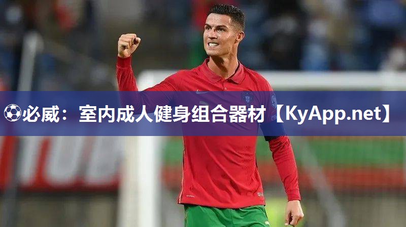 室内成人健身组合器材
