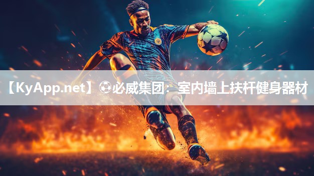 室内墙上扶杆健身器材