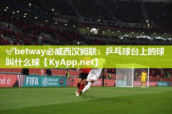 乒乓球台上的球叫什么球
