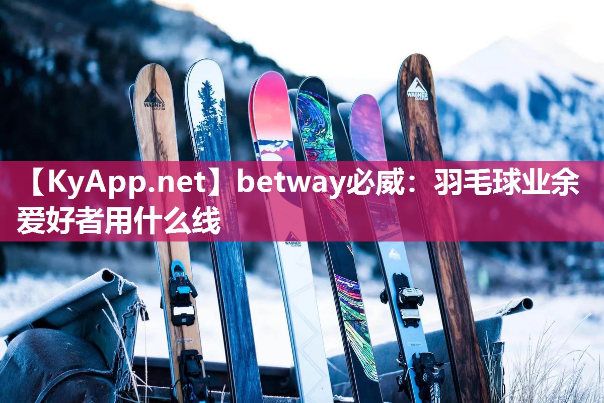 羽毛球业余爱好者用什么线