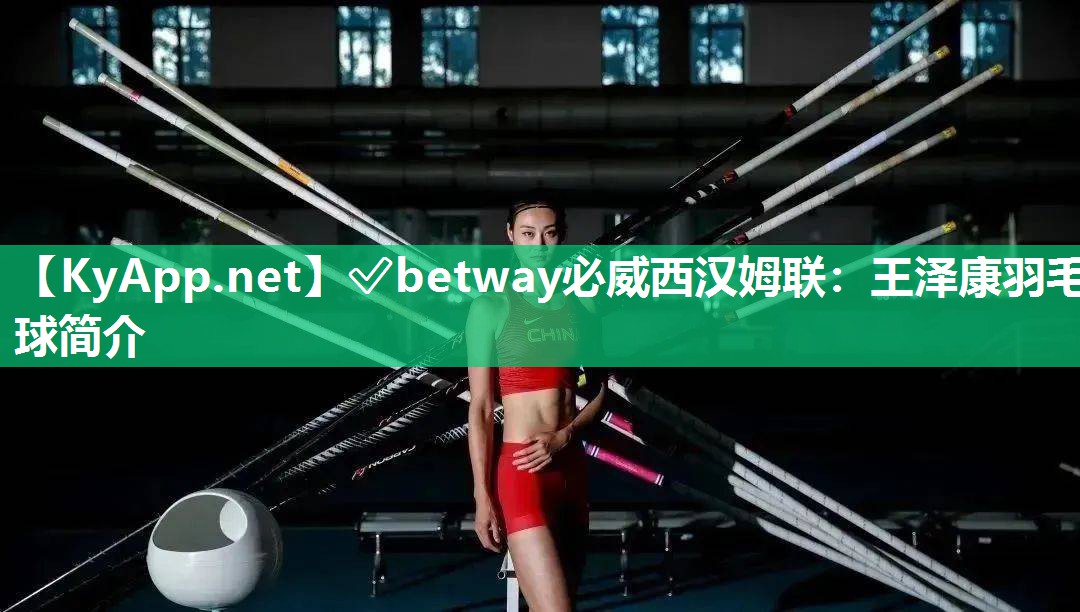 王泽康羽毛球简介