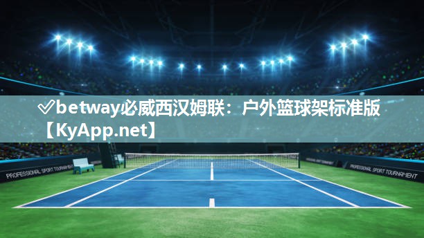 户外篮球架标准版