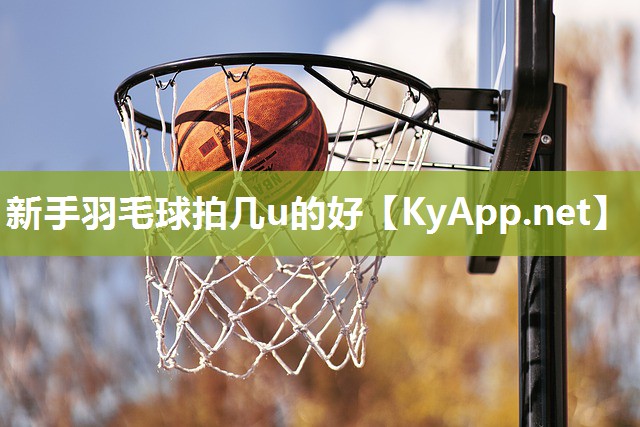 新手羽毛球拍几u的好
