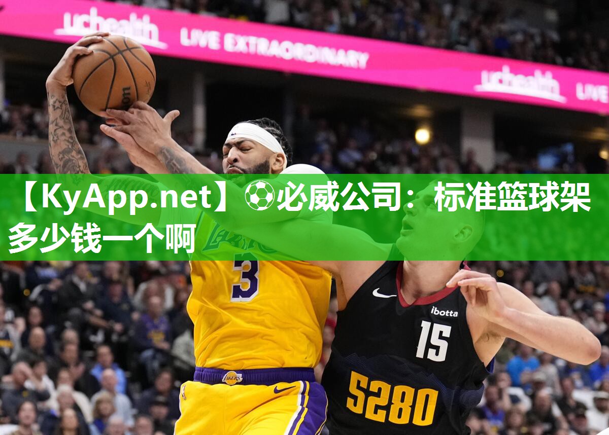 标准篮球架多少钱一个啊