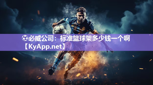 标准篮球架多少钱一个啊