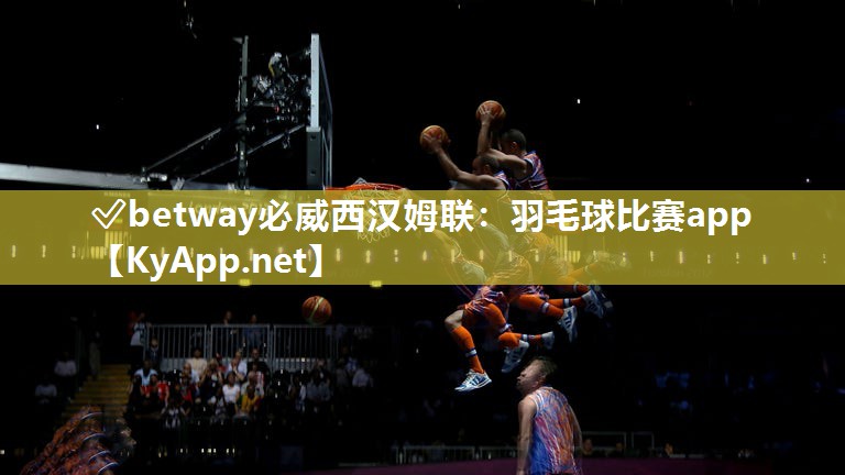 羽毛球比赛app