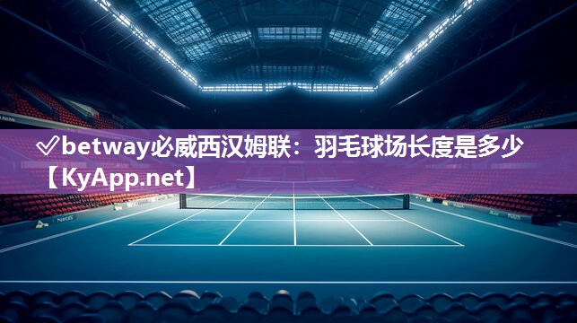 羽毛球场长度是多少